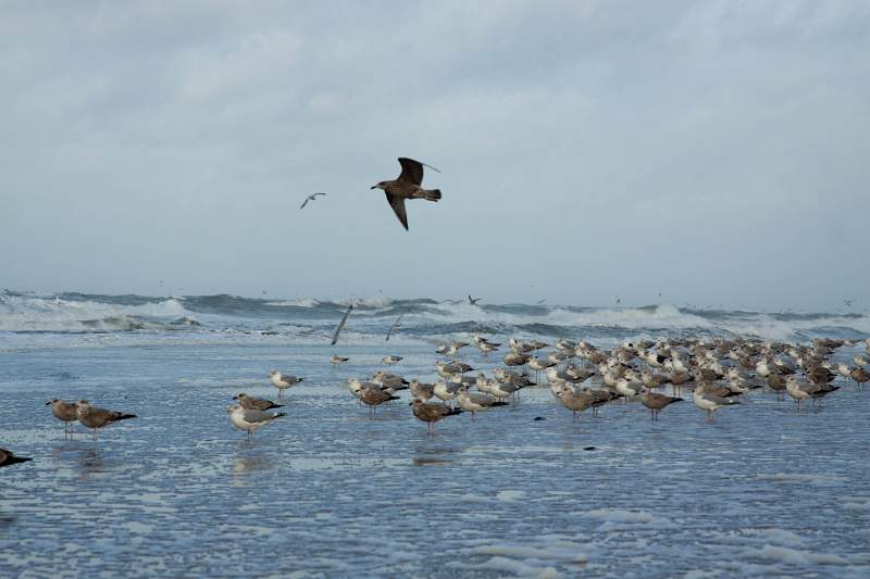 IMG_6348_1.jpg
