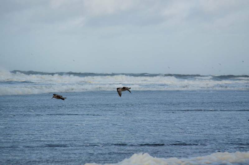 IMG_6350_1.jpg