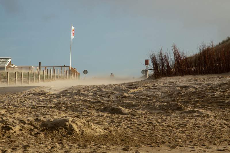 IMG_6453_1.jpg